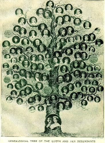 Family tree - Its the victoria family tree.