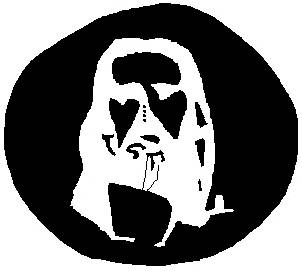 optical effects - focus on the image for about 20 secs, then close your eyes.what do you see?