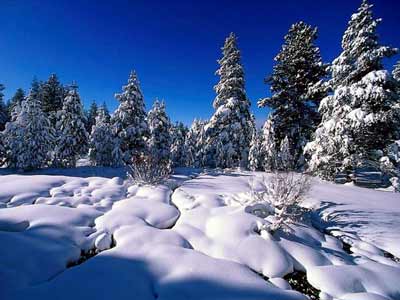 winter - winter