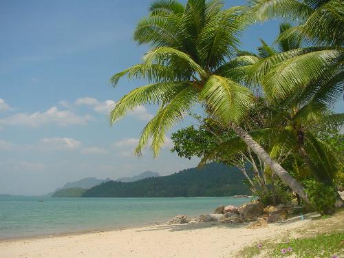 Beach - A beautiful beach. There is coconut tree and little mountain on the background.
