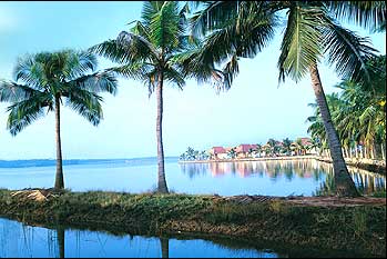 kerala - this is a lake in kerala