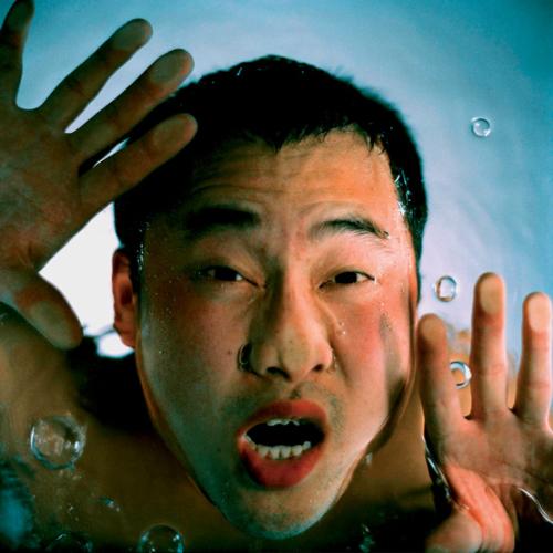 wang wei - wang wei