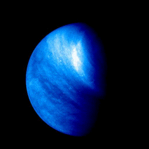 venus - venus