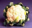 Cauliflower - A head of cauliflower