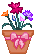 flower pot - sweet flower pot