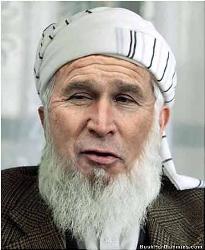 bush - bush