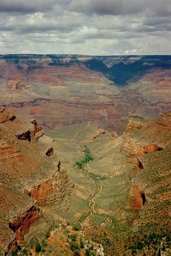 Canyon - Canyon