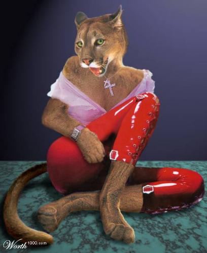 Sweat Lion - this is an unique picture