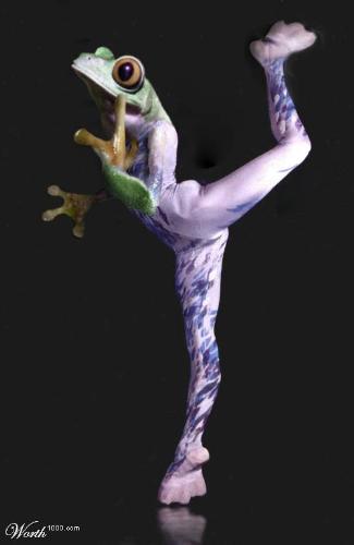 Dancer frog - this is an unique picture