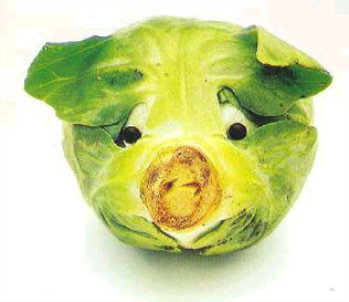 Vegetable - Cabbage that looks like a pig