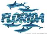Florida - Just want to go here because I want to go to Disney land.