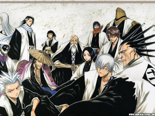 here are the captains - this was taken from www.animewallpapers.com which trademarks used in this site are the property of their respectives owners.
