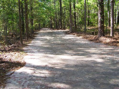 Westside Regional Park Road - This is a brick road that goes through the park.