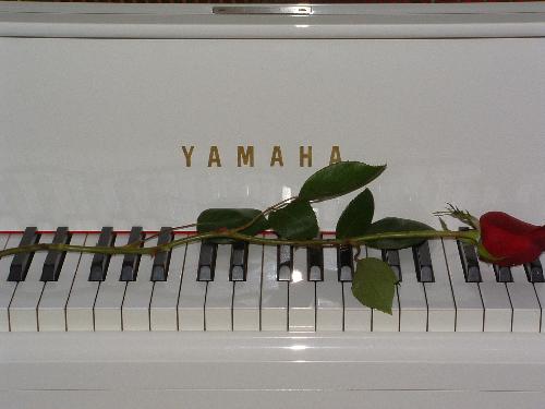 yamaha - yamaha piano