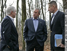 Bush - Bush
