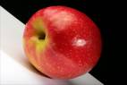 apple - juicy red apple