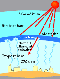 ozone layer - distruction of ozone layer