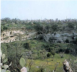 pulo - pulo molfetta