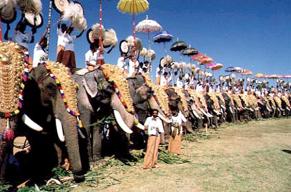 Thrissur Pooram - It is   the best festival of kerala nd one amoung india....  it has the greatest attraction .. millions gather around  to watch the beauty of the elephants nd to hear the panchavadyam   ......