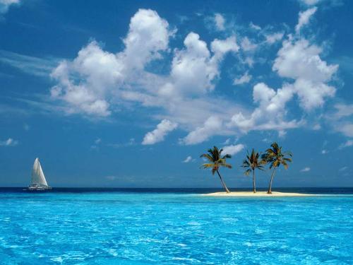 Island - Island