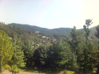 My City Murree2 - Its Murree!the Best view of Murree Mountain!