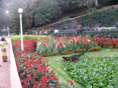 Tour of Ooty, India - Botanical Garden - Photo of Botonical Garden in Ooty, India, when we went for a tour from Cox & Kings