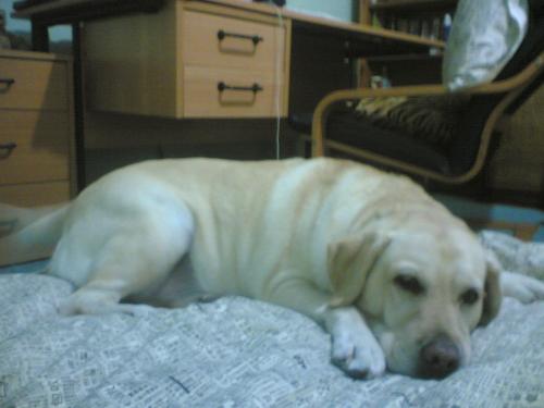 Sleepy Kelly - She's obviously sleepy!
