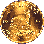 gold coin - gold coin