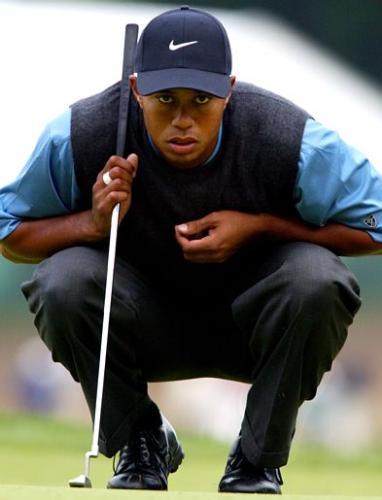 Tiger Wood Action - Tiger Wood Action