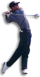 Tiger Wood Style - Tiger Wood Style