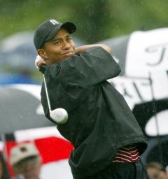 Tiger Wood Shoot - Tiger Wood Shoot