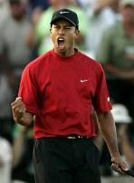 Tiger Wood - Tiger Wood