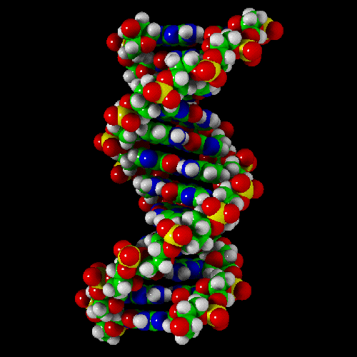 dna - molecule of life