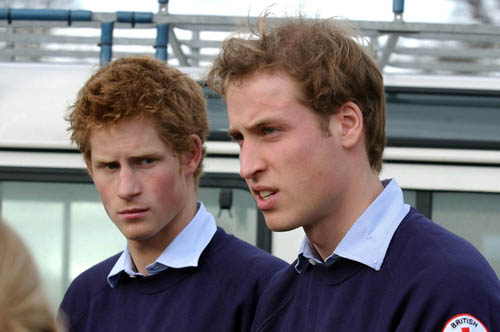 Prince William or Prince Harry????? - Prince William(right) and Prince Harry(left)