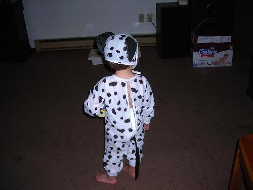 cute - my son