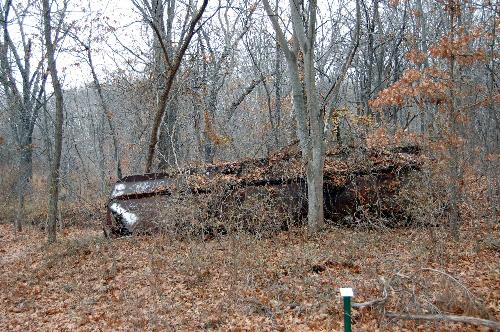 tank in park - tank in park