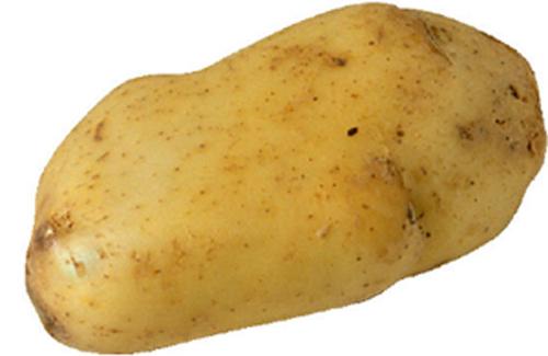 Potato - potatoes