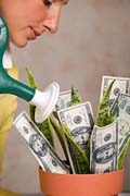 Woman watering money - A nice picture of a woman watering money in a flowerpot.