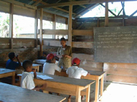 elementary school - elementary school