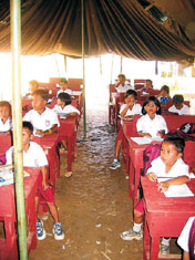 elementary school - elementary school