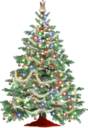 Chirstmas - Christmas tree!