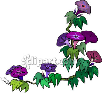 flower - flower