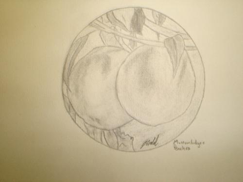 Murrumbidge Peach - Hand Drawn Picture  Artist: Daniel D