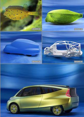 The Mercedes Benz Bionic Car - The luxury division of DaimlerChrysler has begun a study on using bionics in a car as a way to better conserve fuel and the study team looked to nature for the design of the vehicle. What they found was that the boxfish was an excellent example of an aerodynamic animal.