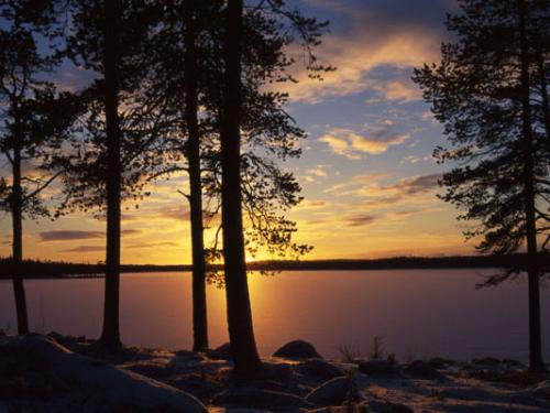 nature - beautiful evening