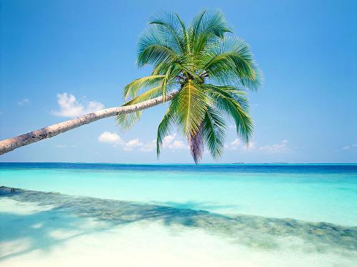sunny beach - the wondrfull sit scns of a ea hore