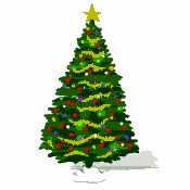 Christmas Tree - a real or fake one adorns many a household and the traditions that surround it can vary with the family and geographical area. Even Country!