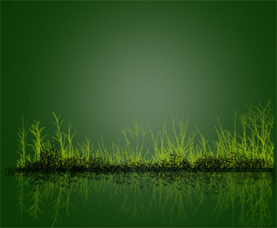 Reflections - Done in Photo shop