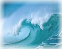 killer instinct - nature................destructive nd conservative