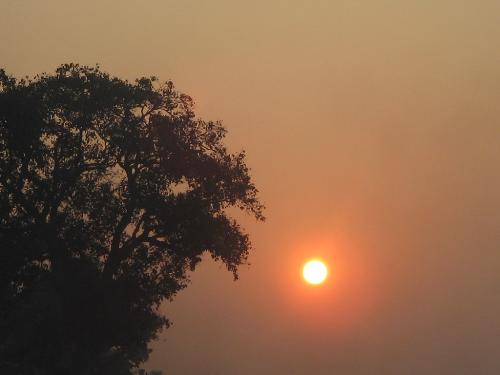 Sunrise - Sunrise